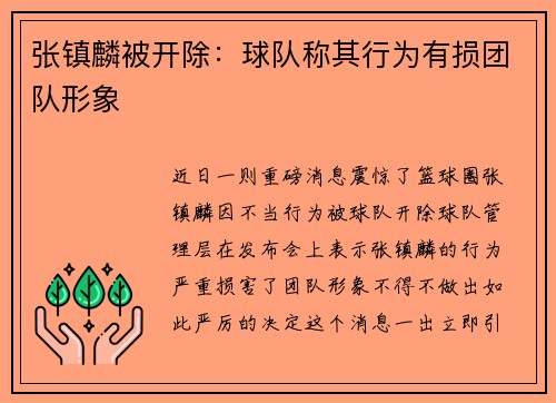 张镇麟被开除：球队称其行为有损团队形象